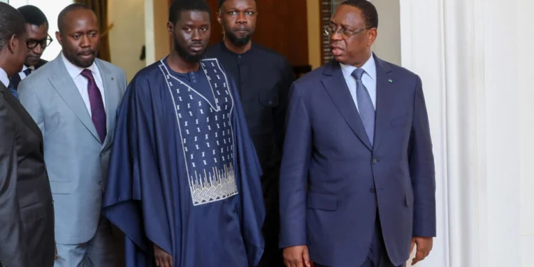 Alioune Tine : «Sonko est un hyper Premier ministre» 1 Alioune Tine : «Sonko est un hyper Premier ministre»