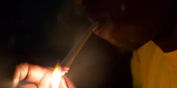 Le Juge sur la drogue : « Vous avez intérêt à arrêter de fumer le Pastef »