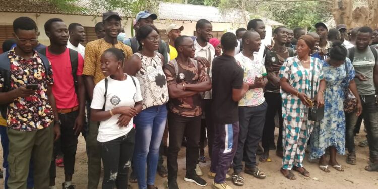 Ziguinchor : L’appel de détresse des techniciens en agriculture et génie rurale