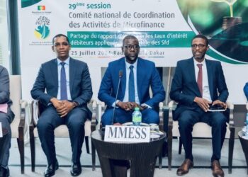 Dr Alioune Dione, ministre : « La microfinance contribue de manière très appréciable au financement de l’économie du pays » 2 Dr Alioune Dione, ministre : « La microfinance contribue de manière très appréciable au financement de l’économie du pays »