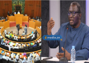 Règlement intérieur de l’Assemblée : « Pourquoi les députés ne sont pas responsables de cette lacune » (Ayib Daffé)