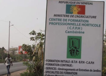 Plainte du directeur du CFPH devant la Police : Le SYNTTAS décrète une grève de 24 heures pour… 2 Plainte du directeur du CFPH devant la Police : Le SYNTTAS décrète une grève de 24 heures pour…