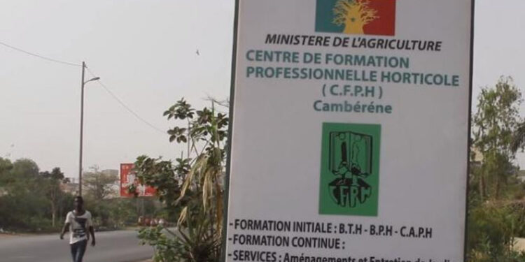 Plainte du directeur du CFPH devant la Police : Le SYNTTAS décrète une grève de 24 heures pour…