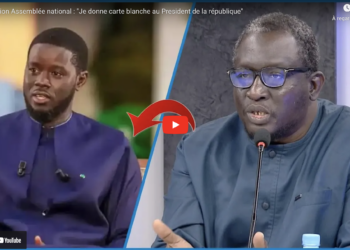 Dissolution de l’Assemblée : «Pourquoi je donne carte blanche au président de la République»