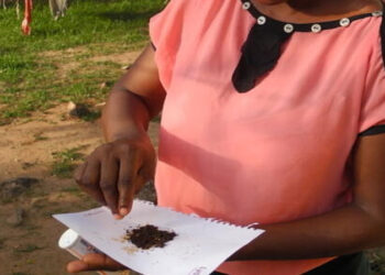 [DOSSIER] Tababa, la drogue vaginale : Les veuves et les divorcées s’y mettent aussi…