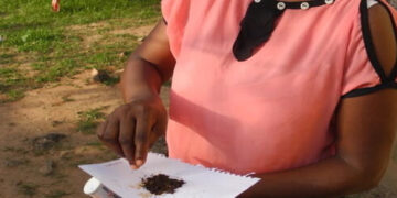 [DOSSIER] Tababa, la drogue vaginale : Les veuves et les divorcées s’y mettent aussi…