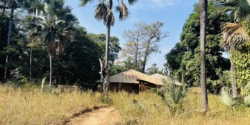 Affaire de la forêt de Niamone : Les présumés auteurs de morcellement foncier arrêtés 5 Affaire de la forêt de Niamone : Les présumés auteurs de morcellement foncier arrêtés