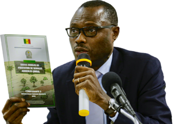 « Soutenir les ménages pour faire face à la hausse des prix des denrées alimentaires» (Cnsa)