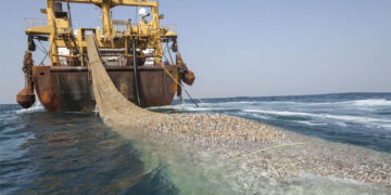 Lutte contre la pêche INN : La nouvelle démarche préconisée par le MPIMP pour plus de transparence