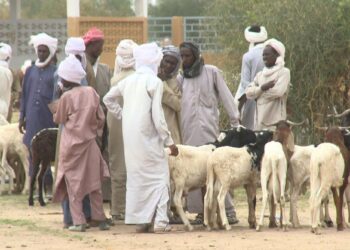 PRAPS – 2 : Les interventions du Cilss et de la Banque Mondiale