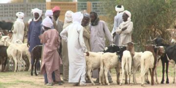 PRAPS – 2 : Les interventions du Cilss et de la Banque Mondiale