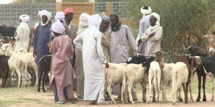 PRAPS – 2 : Les interventions du Cilss et de la Banque Mondiale