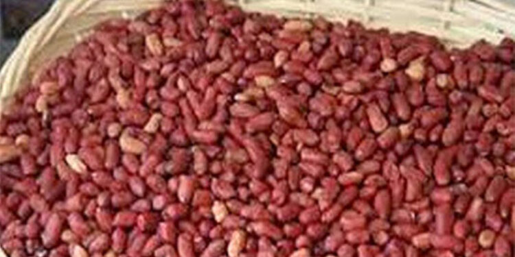 [DOSSIER] Distribution, commercialisation et qualité des semences : Le grand deal sur le dos des agriculteurs