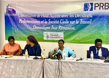 Travaux et soins domestiques non rémunérés : les parlementaires veulent une prise en compte de cette activité exercée par les femmes 1 Travaux et soins domestiques non rémunérés : les parlementaires veulent une prise en compte de cette activité exercée par les femmes