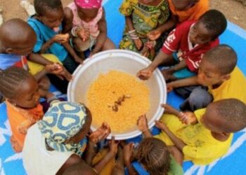 Insécurité alimentaire : Un rapport alerte à Salémata et Goudiry