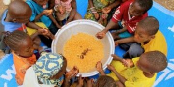 Insécurité alimentaire : Un rapport alerte à Salémata et Goudiry