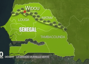 Lutte contre la dégradation des terres et la déforestation sur le tracé de la GMV : le gouvernement met sur pied un projet pour appuyer l’ASERGMV