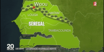 Lutte contre la dégradation des terres et la déforestation sur le tracé de la GMV : le gouvernement met sur pied un projet pour appuyer l’ASERGMV