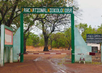 Le Sénégal réussit à retirer le Niokolo du Patrimoine mondial en danger après 17 ans