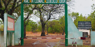 Le Sénégal réussit à retirer le Niokolo du Patrimoine mondial en danger après 17 ans