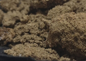 [DOSSIER] Tababa, la drogue vaginale : Les hommes aussi l’utilisent…