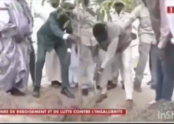 Journée de l’arbre :  Le président de la République est arrivé à Touba