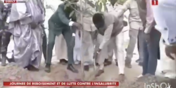Journée de l’arbre :  Le président de la République est arrivé à Touba