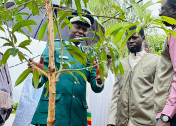 Planter des arbres : Un acte de citoyenneté dixit le chef de l’Etat 