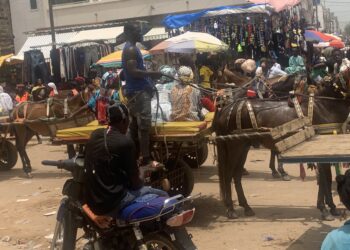 Magal Touba 2024 : Un fidèle tué à coups de machettes par un charretier  8 Magal Touba 2024 : Un fidèle tué à coups de machettes par un charretier