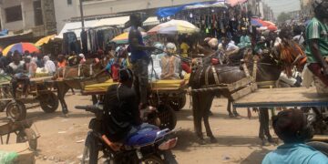 Magal Touba 2024 : Un fidèle tué à coups de machettes par un charretier 8 Magal Touba 2024 : Un fidèle tué à coups de machettes par un charretier