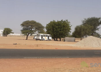 [DOSSIER] Touba – Une urbanisation non maitrisée (Suite) : Des parcelles à plus de 500 millions FCFA