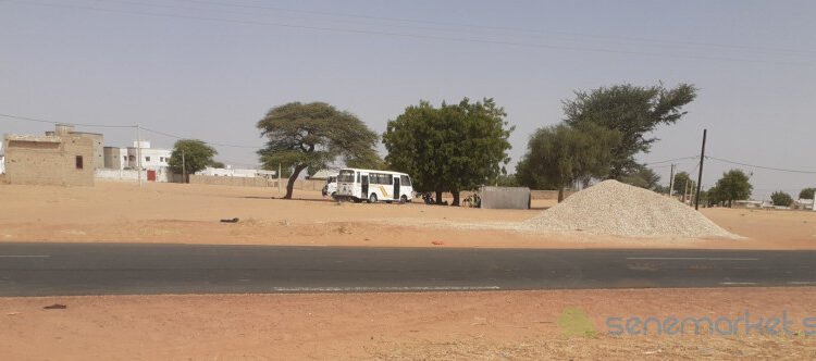 [DOSSIER] Touba – Une urbanisation non maitrisée (Suite) : Des parcelles à plus de 500 millions FCFA