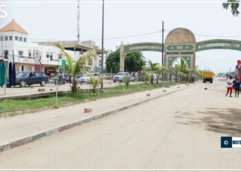 Journée de l’arbre : Les raisons du choix de Touba