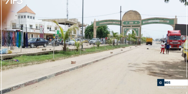 Journée de l’arbre : Les raisons du choix de Touba 1 Journée de l’arbre : Les raisons du choix de Touba