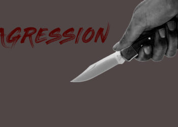 Agressions et meurtres au Sénégal : Un sentiment de peur s’installe chez des sénégalais