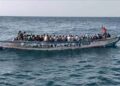Le Billet du Baadoolo : Génosuicide !