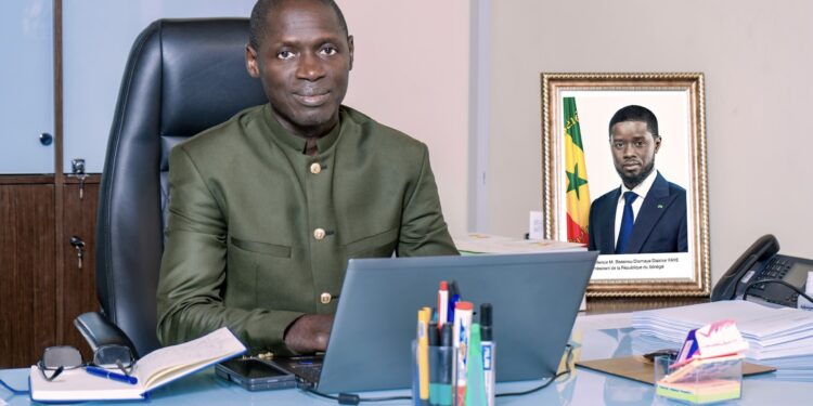 Célébration de la journée de l’arbre : Dr Sékouna Diatta évoque l’importance de planter des fruitiers 