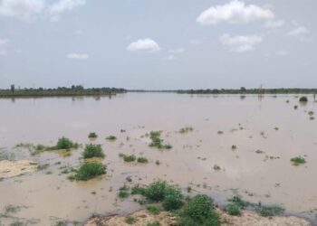 Débordement du fleuve Sénégal : Les dernières nouvelles inquiétantes pour Bakel et Matam