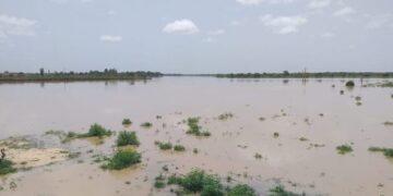 Débordement du fleuve Sénégal : Les dernières nouvelles inquiétantes pour Bakel et Matam