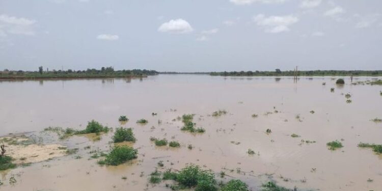 Débordement du fleuve Sénégal : Les dernières nouvelles inquiétantes pour Bakel et Matam 1 Débordement du fleuve Sénégal : Les dernières nouvelles inquiétantes pour Bakel et Matam