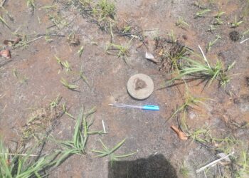 Découverte d’une mine antipersonnel à Katouré dans le Nyassia