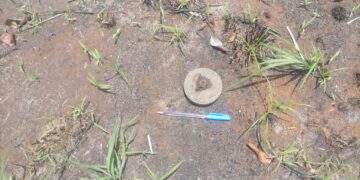 Découverte d&rsquo;une mine antipersonnel à Katouré dans le Nyassia