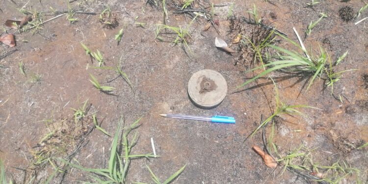 Découverte d'une mine antipersonnel à Katouré dans le Nyassia 1 Découverte d’une mine antipersonnel à Katouré dans le Nyassia