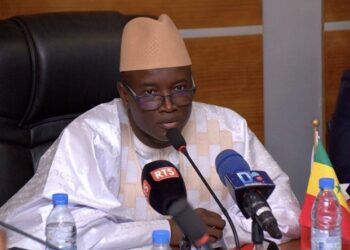 Législatives anticipées 2024 : Aly Ngouille Ndiaye se lance avec son parti politique 4 Législatives anticipées 2024 : Aly Ngouille Ndiaye se lance avec son parti politique