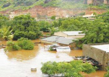 Des maisons et cultures envahies à Podor et Matam : L’appel au secours des populations   1 Des maisons et cultures envahies à Podor et Matam : L’appel au secours des populations