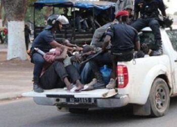 Opération de sécurisation : 527 personnes arrêtées par la police, de la cocaïne saisie 1 Opération de sécurisation : 527 personnes arrêtées par la police, de la cocaïne saisie