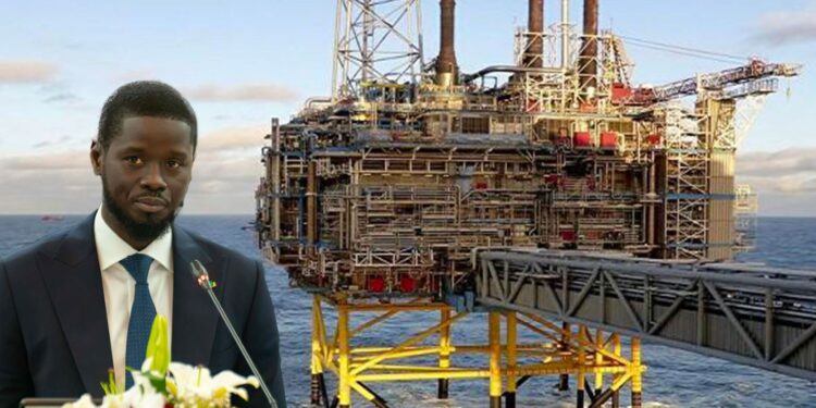 Révision des contrats miniers, pétroliers et gaziers :  Les spécialistes suggèrent la revue globale des référentiels juridiques