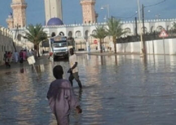 Touba sinistrée : il nous faut une vision État/Nation-Territoires