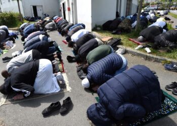 Ismaila Ndiaye : « Ma lecture de l’article du Dr Pierre Marie Niang »