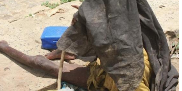 [Dossier] Le Centre de l’assistance aux malades mentaux errants au Sénégal : Personne ne se perd, tout se soigne !